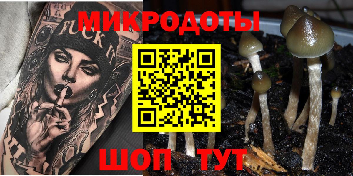 Псилоцибиновые грибы Cubensis Славянск-на-Кубани